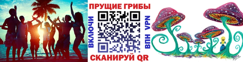 Купить где  Хадыженск  Галлюциногенные грибы Psilocybe 